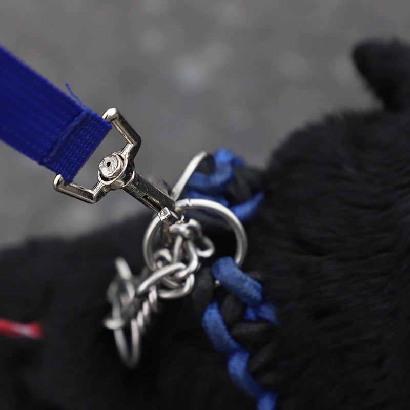 HydroLeash™ 5-in-1 Dog Walking System