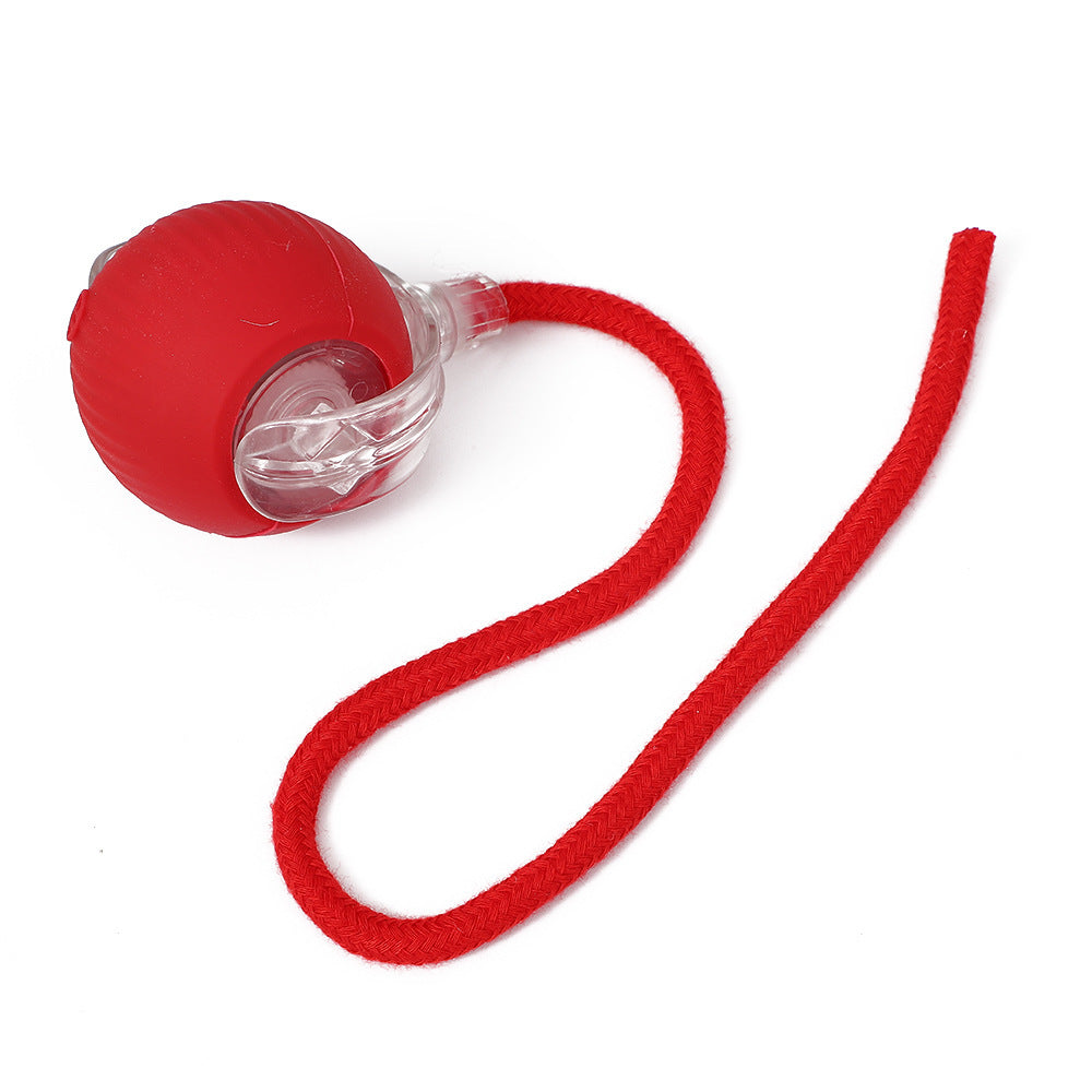 SmartCat™ Interactive Ball (Cats Go Crazy For This)