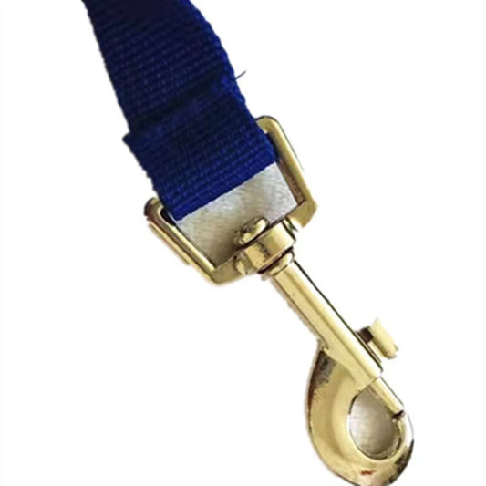 HydroLeash™ 5-in-1 Dog Walking System