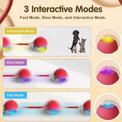 SmartCat™ Interactive Ball (Cats Go Crazy For This)