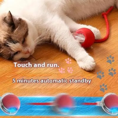 SmartCat™ Interactive Ball (Cats Go Crazy For This)