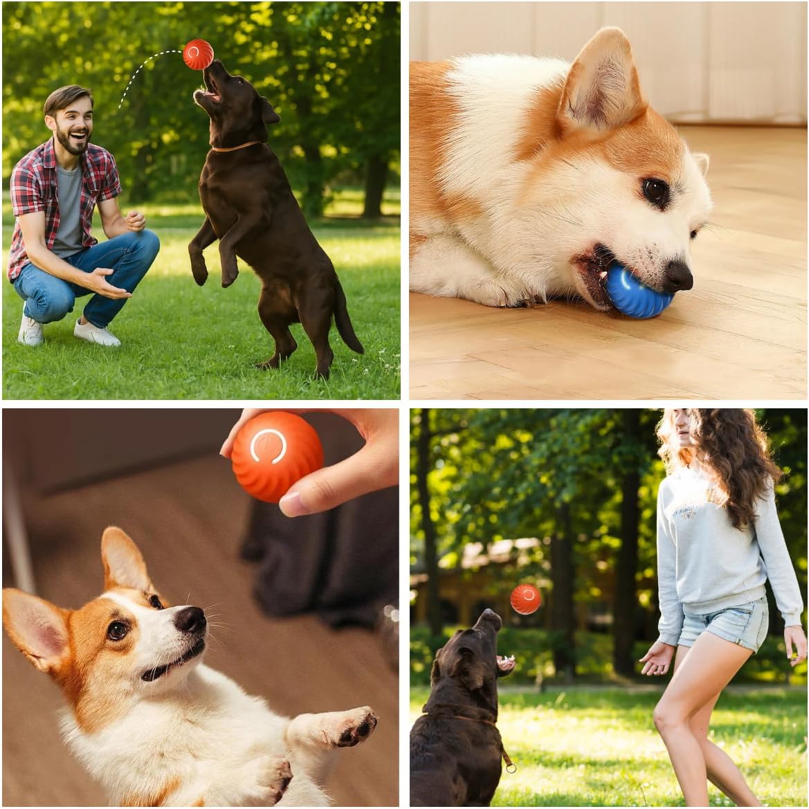 FurMotion™ Ball