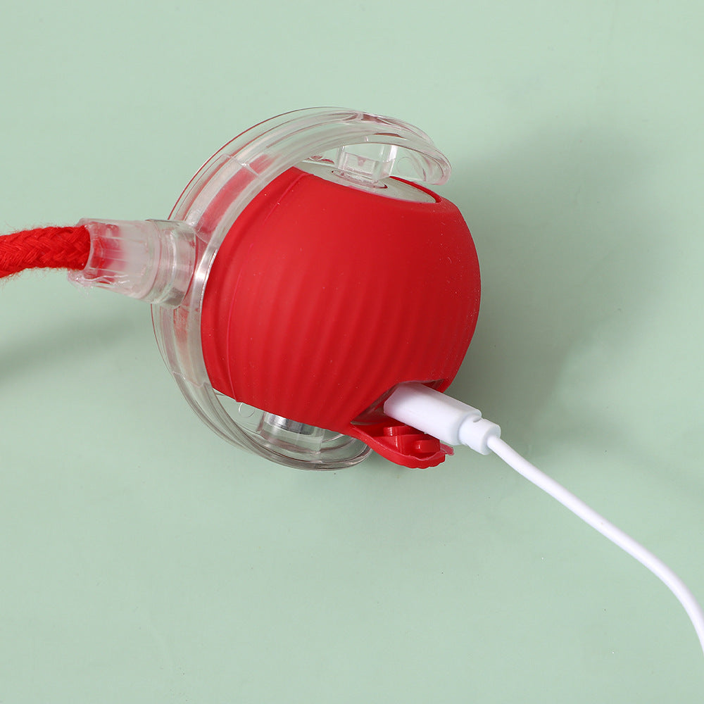 SmartCat™ Interactive Ball (Cats Go Crazy For This)